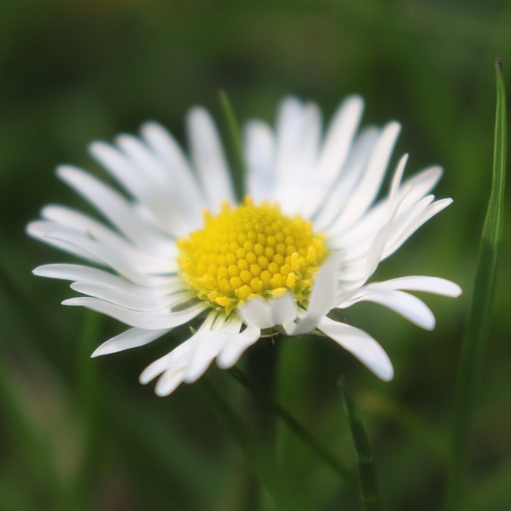 April Birthstones and&nbsp;Symbols